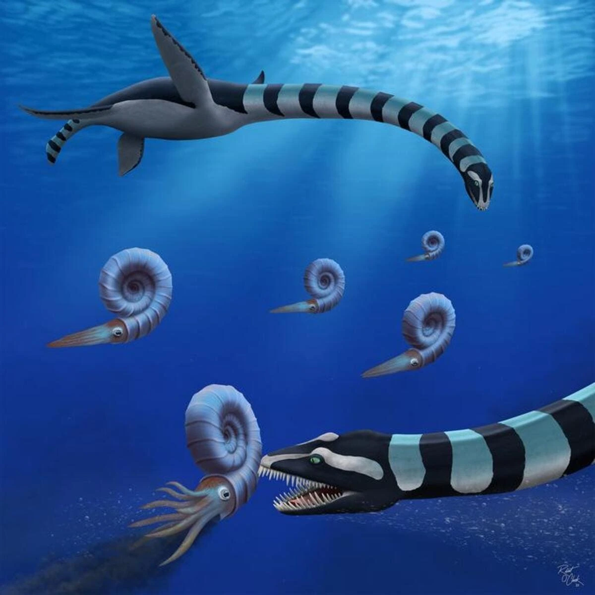 Reconstrucción artística de Traskasaura sandrae cazando amonites en el océano durante el Cretácico Superior.