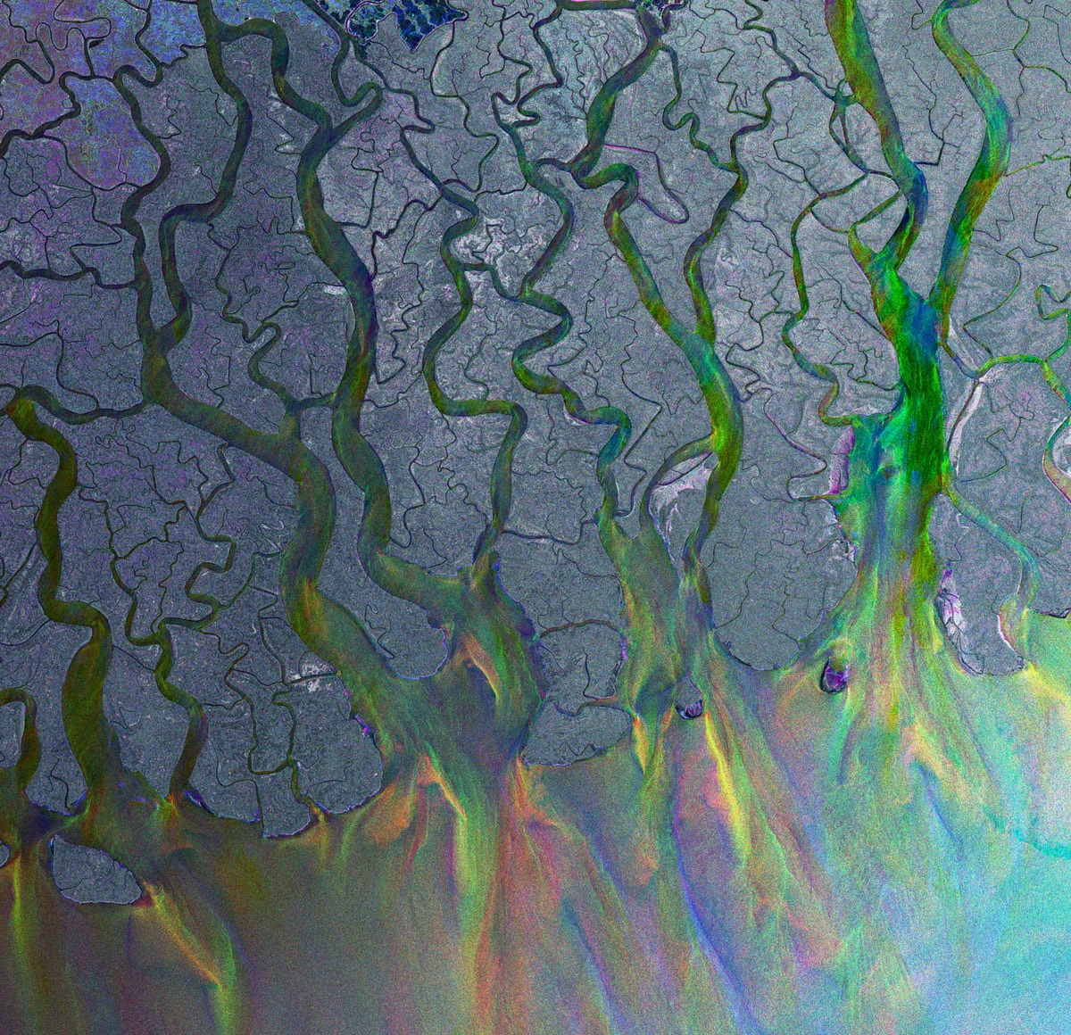 Vista satelital del delta del Ganges en tonalidades multiespectrales