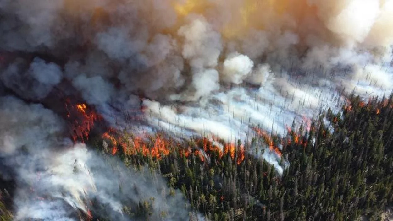 Incendio forestal en un bosque del noroeste de América del Norte, con humo denso y llamas activas