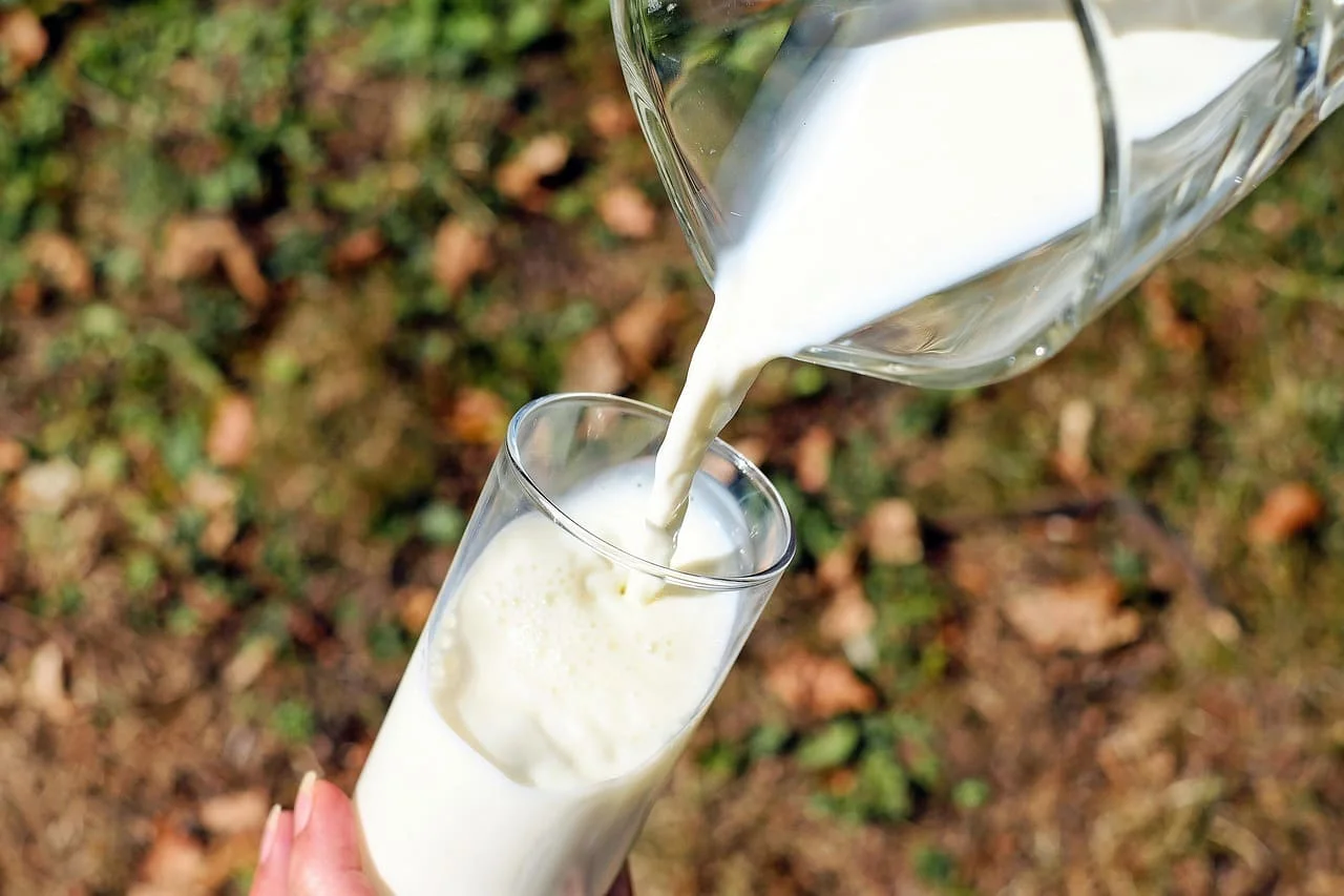 Vaso de leche servido al aire libre