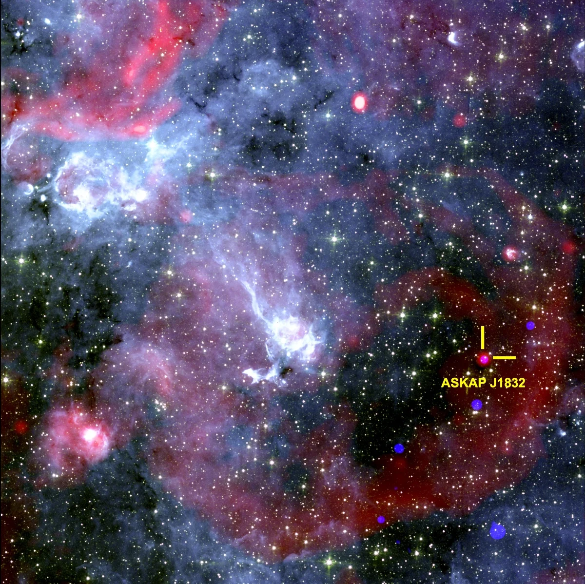 Región espacial alrededor de ASKAP J1832-0911 con datos de rayos X, radio e infrarrojos