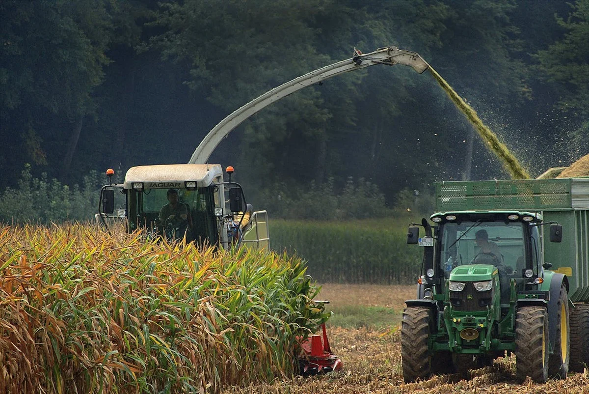 Cosecha agrícola con maquinaria en el campo