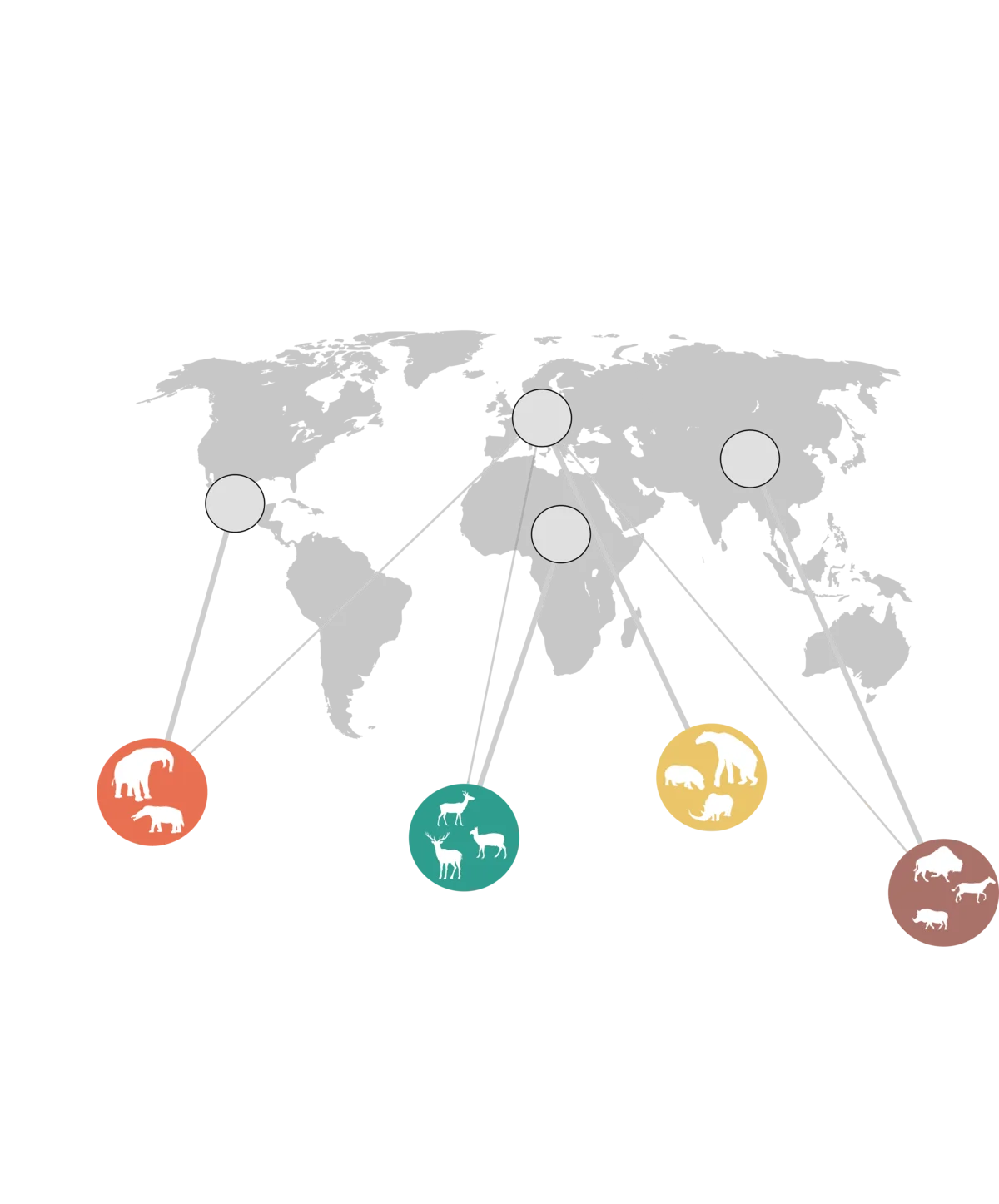 Red global de roles ecológicos ilustrada con grandes herbívoros de distintas especies y hábitats