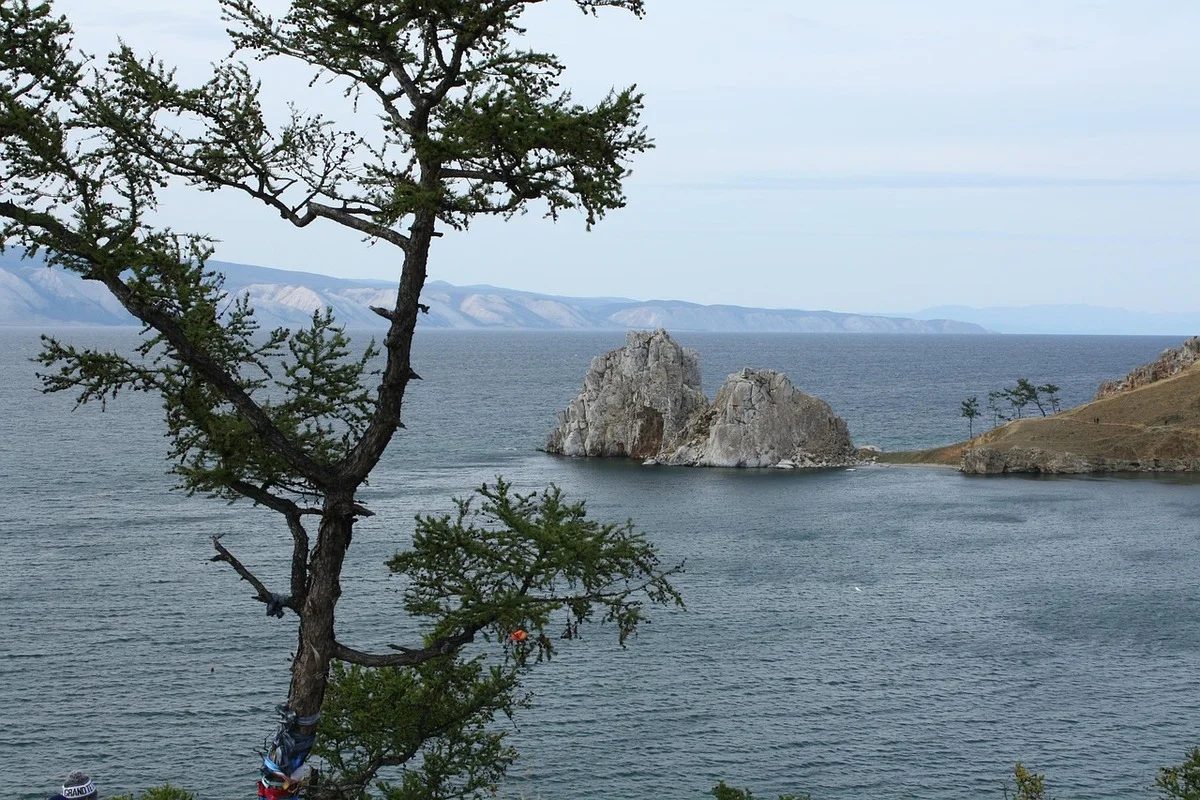 Aguas abiertas del lago Baikal con formaciones rocosas y vegetación en primer plano.