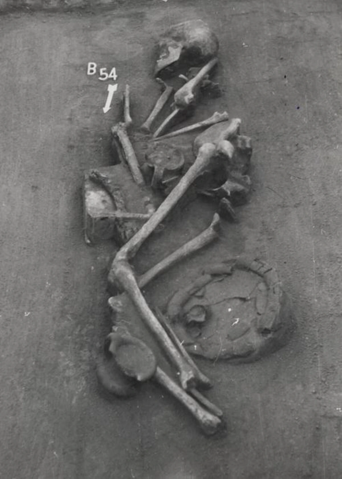 Vista del yacimiento funerario de Tiszafüred Majoroshalom B54