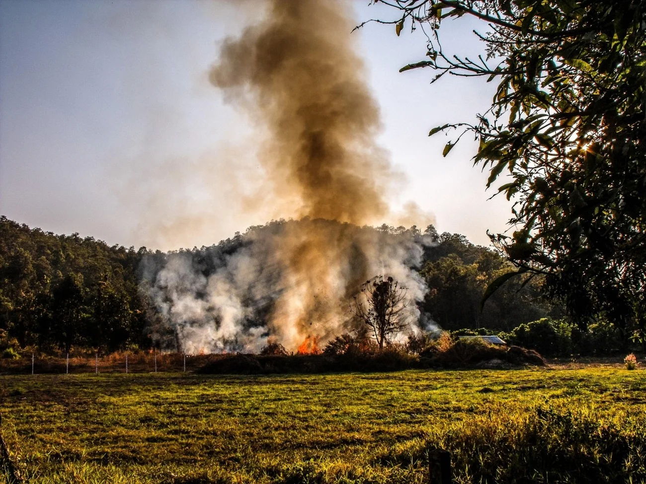 Columna de humo denso ascendiendo desde una quema controlada en campo rural