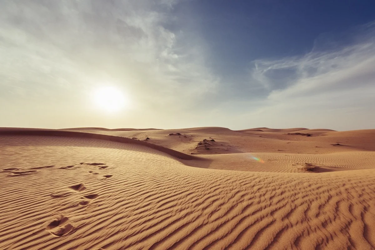 Paisaje desértico de dunas y arena bajo el sol