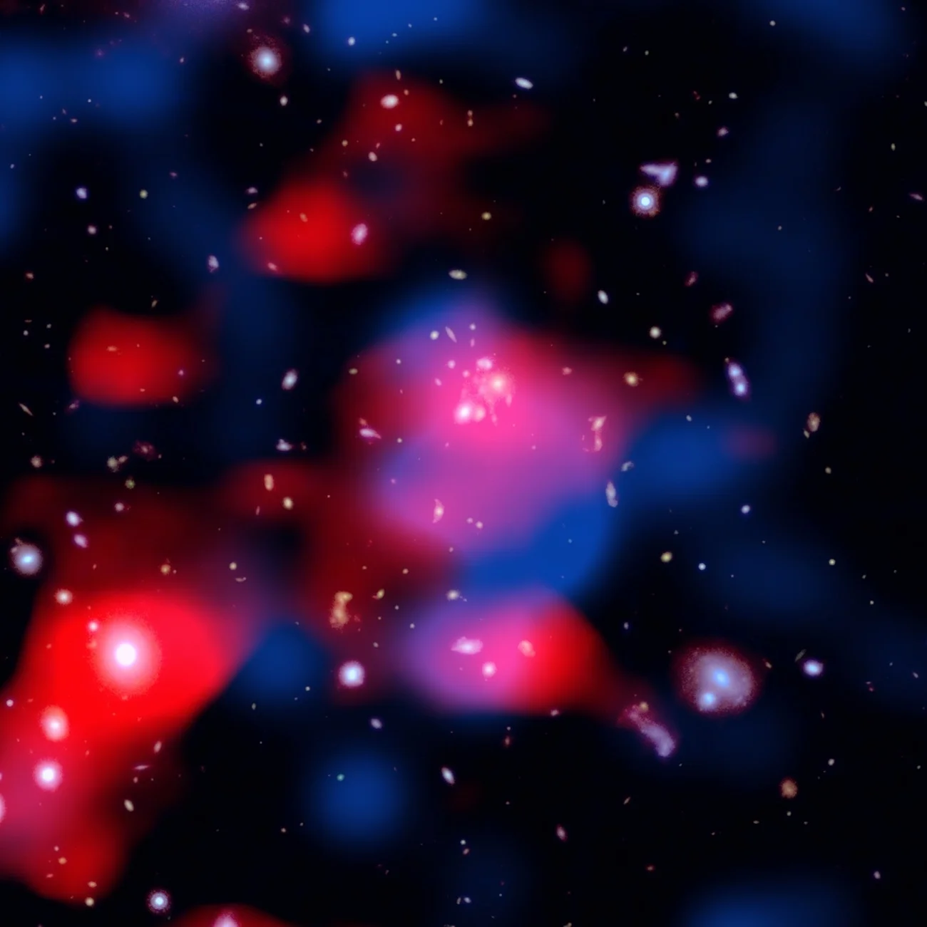 Cúmulo de galaxias distante con nubes rojas de radio y gas azul en rayos X