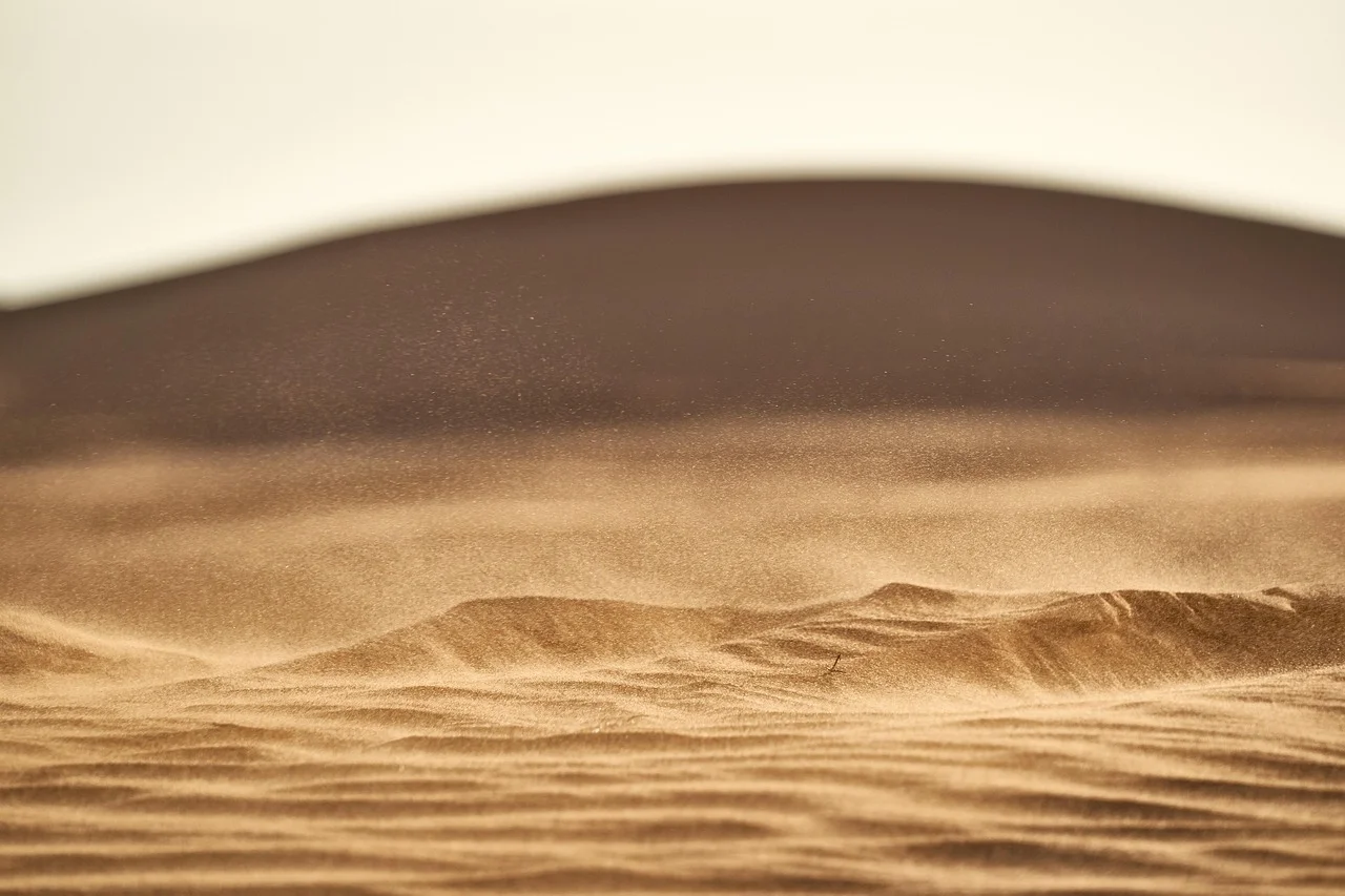 Partículas de arena levantadas por el viento en una duna del desierto