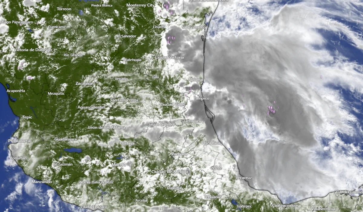 Vista satelital de la región centro-norte de México con nubosidad asociada a la tormenta tropical Barry