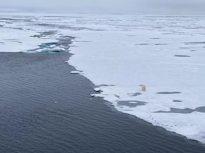 hielo marino estacional