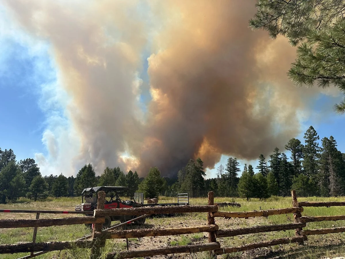 Columna de humo del incendio White Sage en el bosque cerca del Gran Cañón