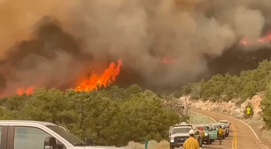 Incendio forestal Dragon Bravo arrasando vegetación en el Gran Cañón