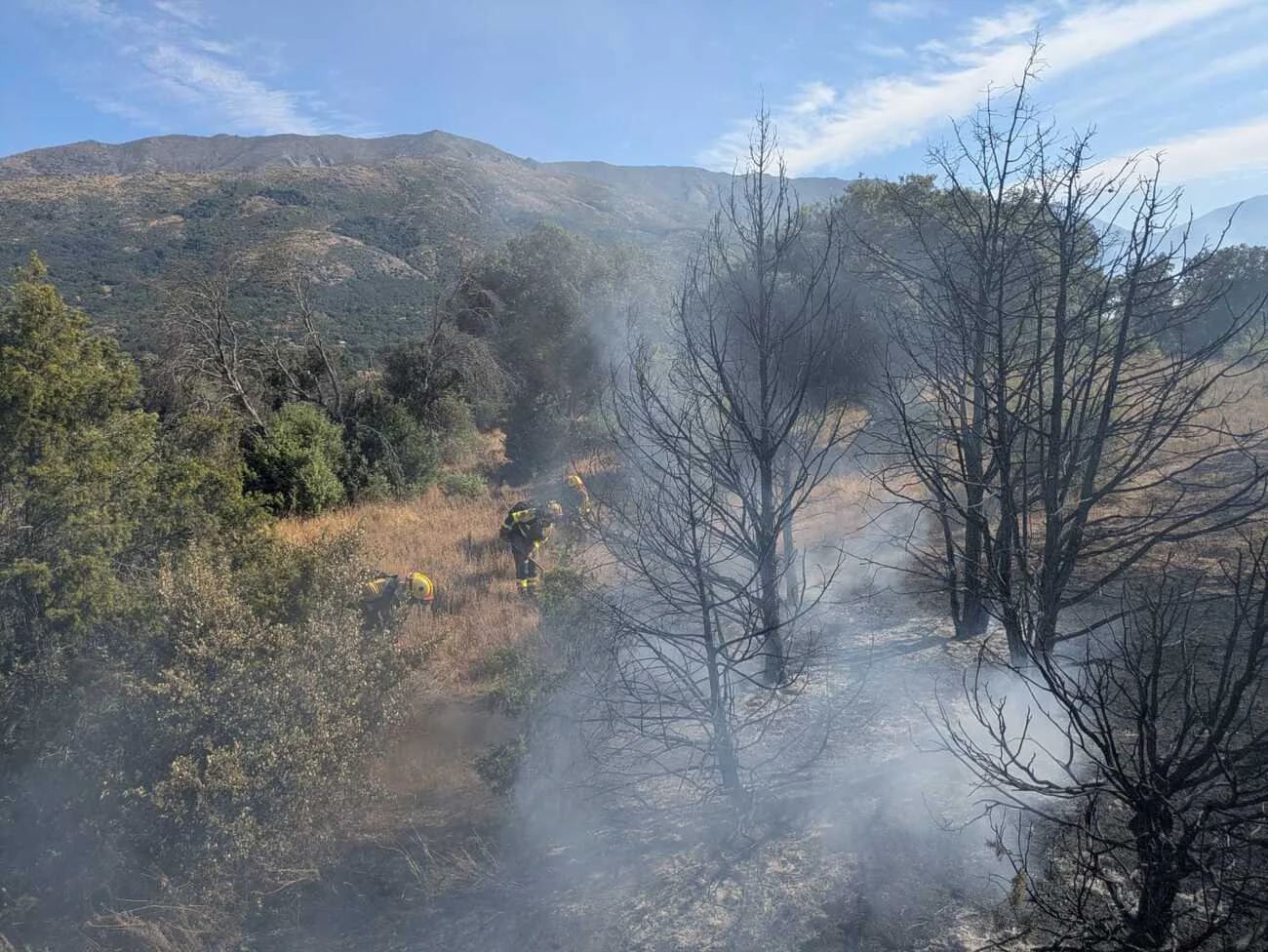 Bomberos trabajan entre humo y árboles calcinados durante el incendio forestal de Navaluenga, Ávila, con montaña al fondo y cielo azul.