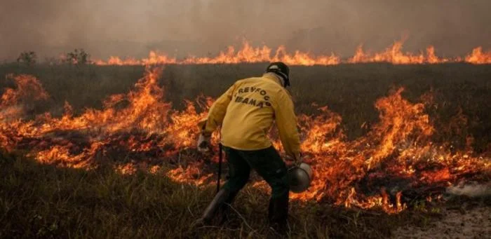 Área de bosque amazónico mostrando degradación y pérdida parcial de la cubierta vegetal.
