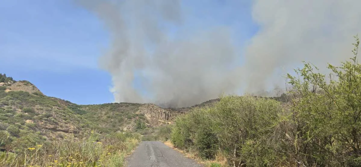 Columna de humo tras un incendio forestal en una zona rural y montañosa de Tenerife