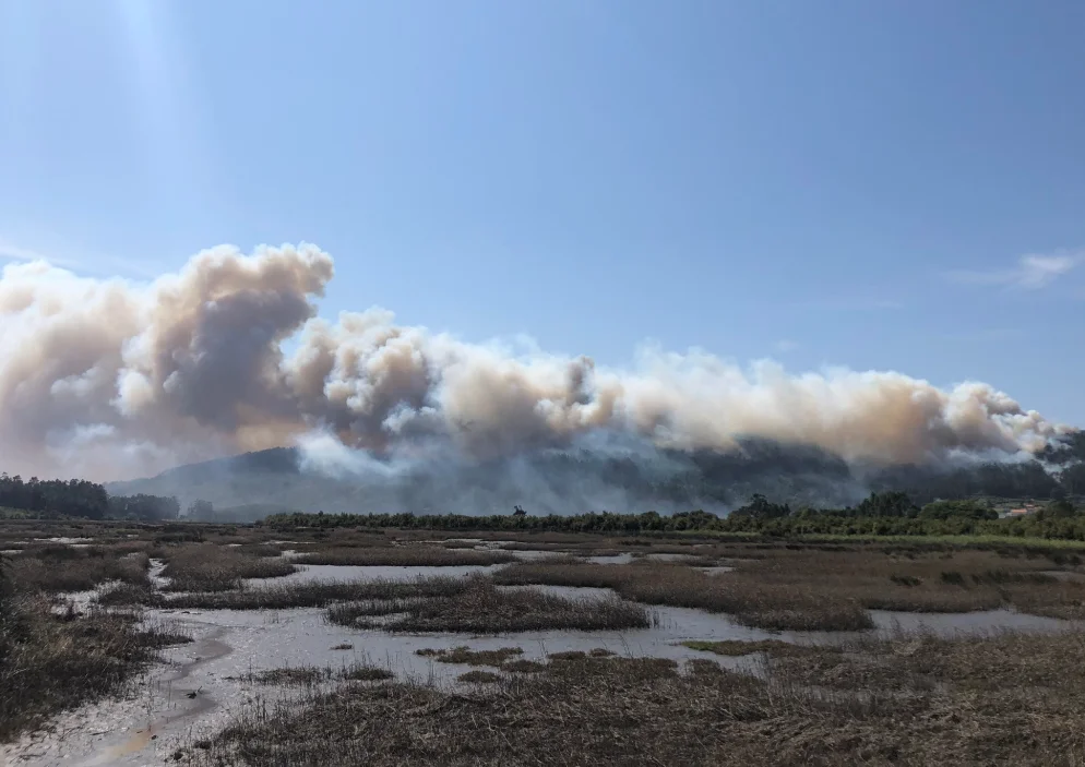 Columna de humo sobre montes y marisma tras el incendio en Ponteceso, Galicia