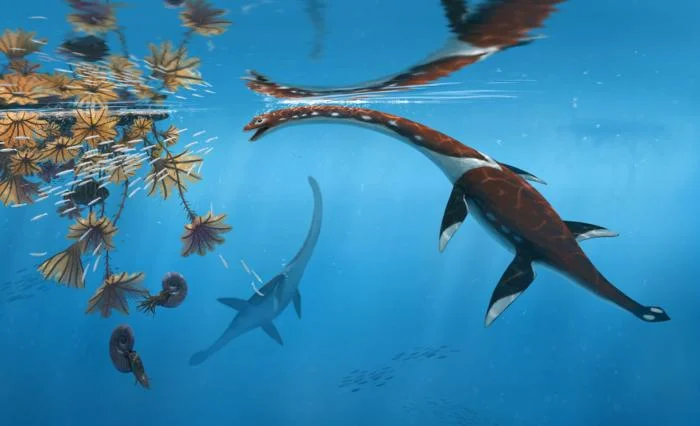Reconstrucción artística de Plesionectes longicollum