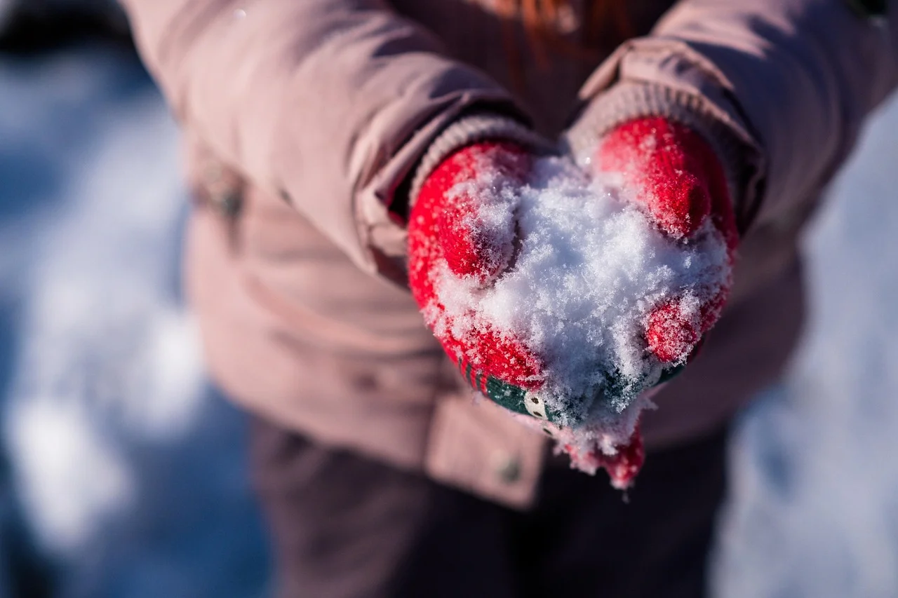 Manos con guantes rojos sostienen nieve recién recogida en un día frío