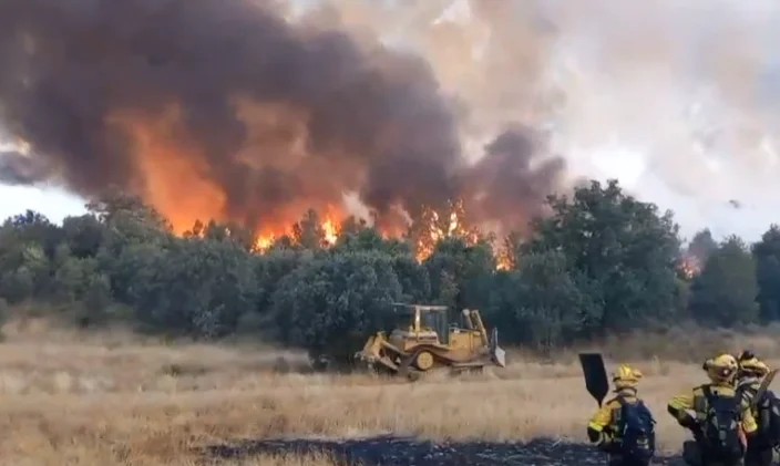 Bomberos y maquinaria pesada combatiendo un gran incendio forestal en Zamora
