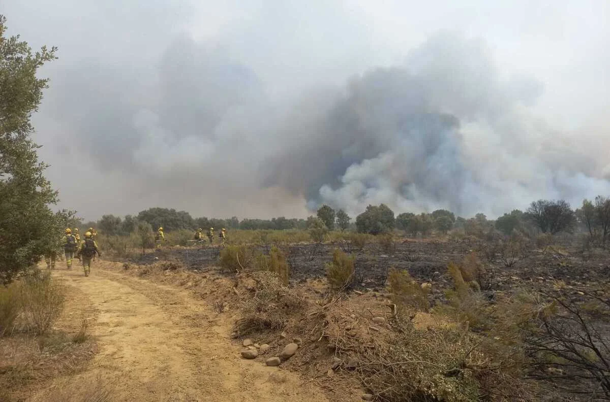 Bomberos combaten incendio forestal en Ourense entre humo y vegetación quemada. Imagen real proporcionada por ATBRIF.