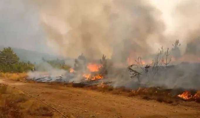 Incendio forestal activo en Extremadura con grandes llamas avanzando por el terreno
