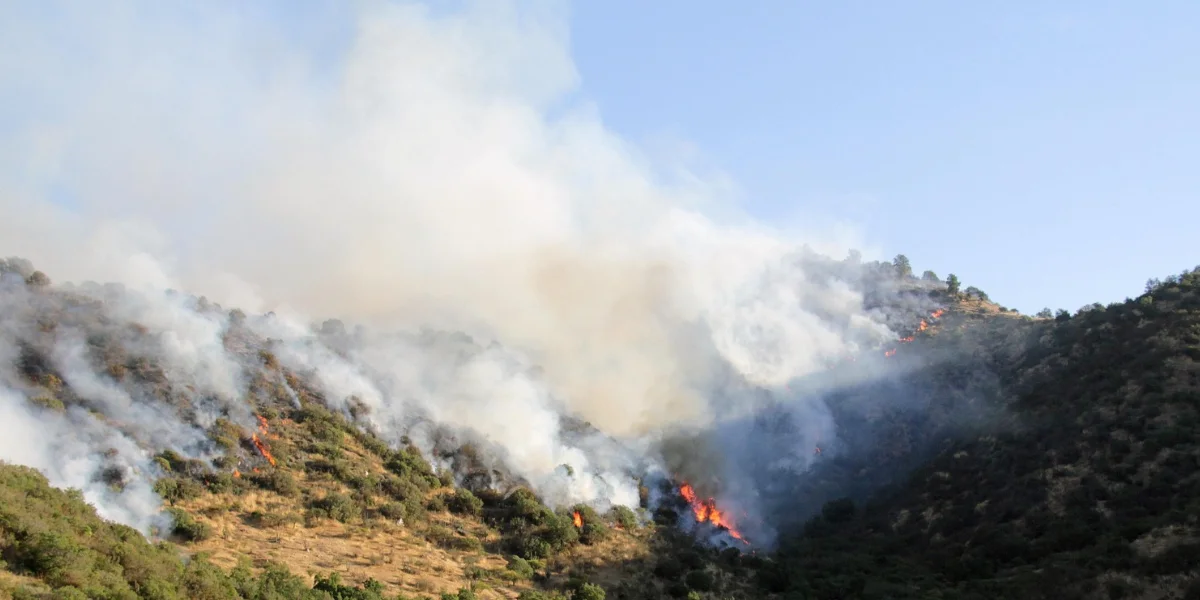 Incendio forestal avanzando por las laderas de una montaña con humo y llamas visibles