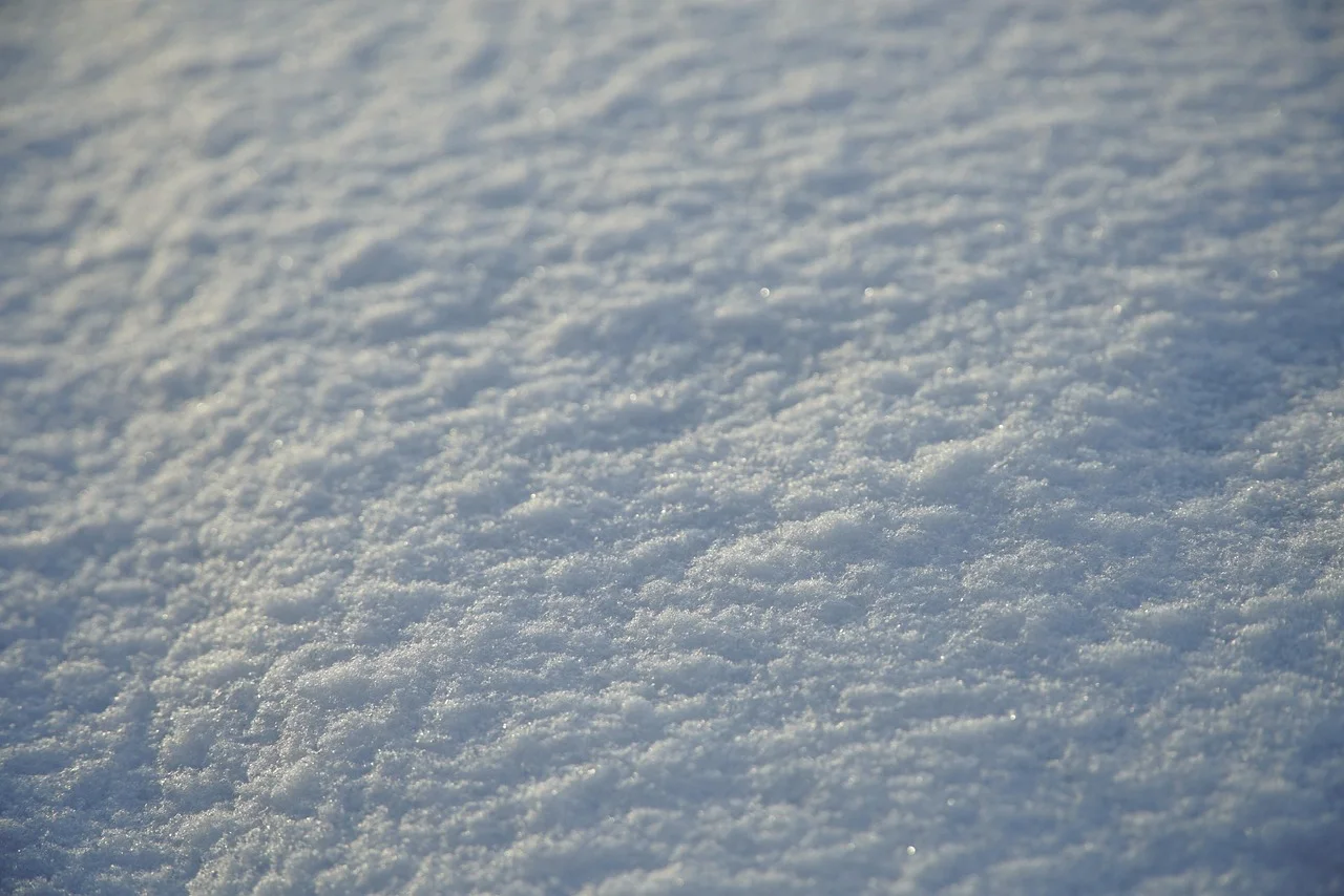 Superficie cubierta por una capa de nieve fresca bajo la luz del sol