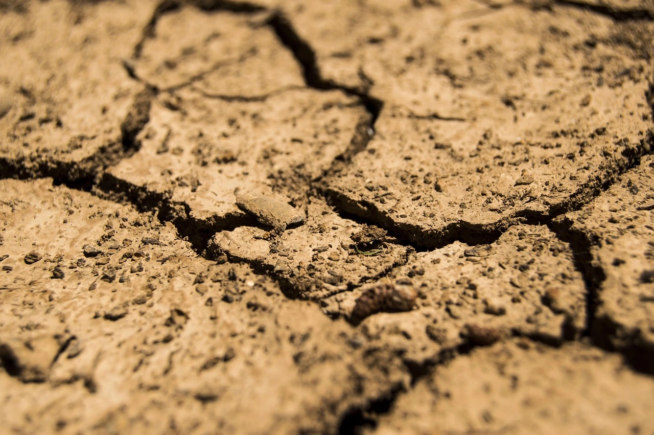 Suelo seco y agrietado por los efectos de la sequía extrema