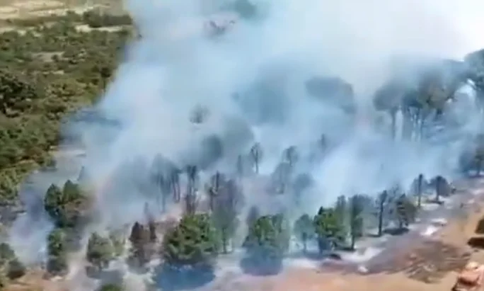 Vista aérea del incendio forestal en El Hierro
