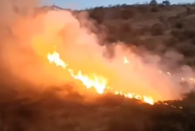 Incendio forestal en Granada, con llamas y humo avanzando por la ladera cerca del río Genil
