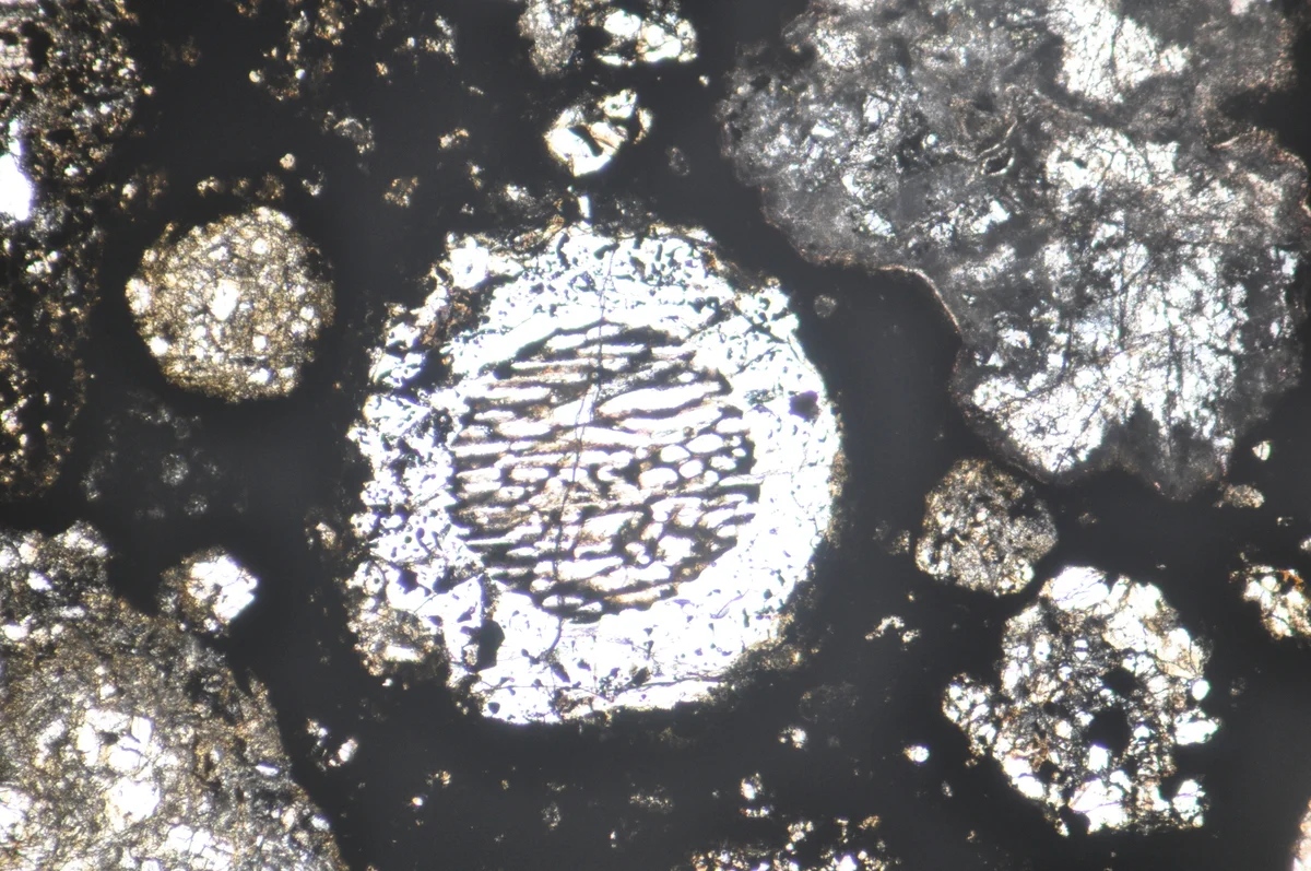 Sección delgada del meteorito Allende con cóndrulos redondeados vistos al microscopio