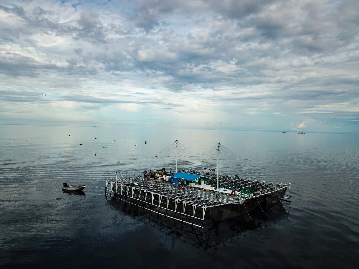 Barco de Bagan en la bahía de Cendrawasih