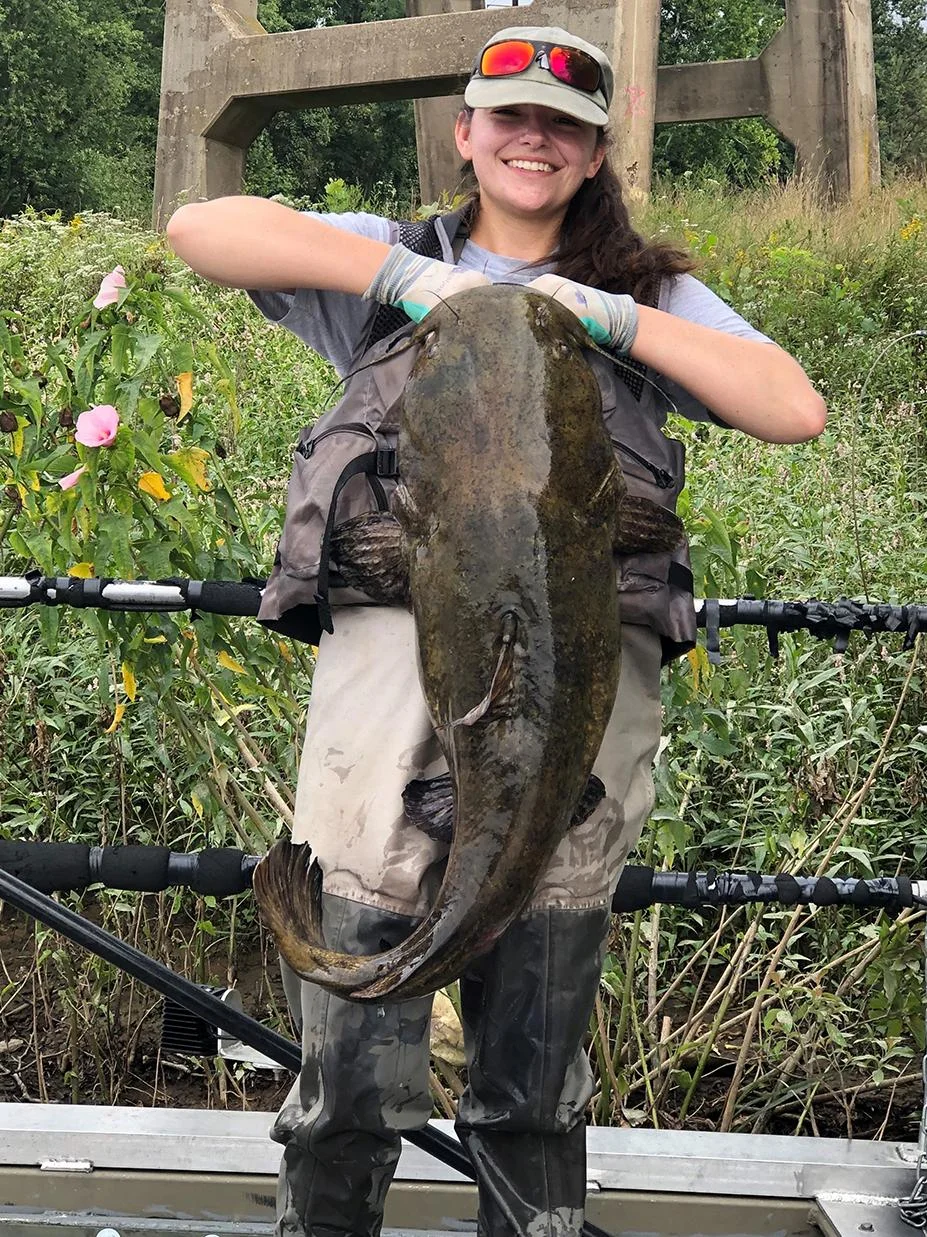Sydney Stark levantando un bagre de cabeza plana de 40 libras como parte de la investigación sobre peces planos