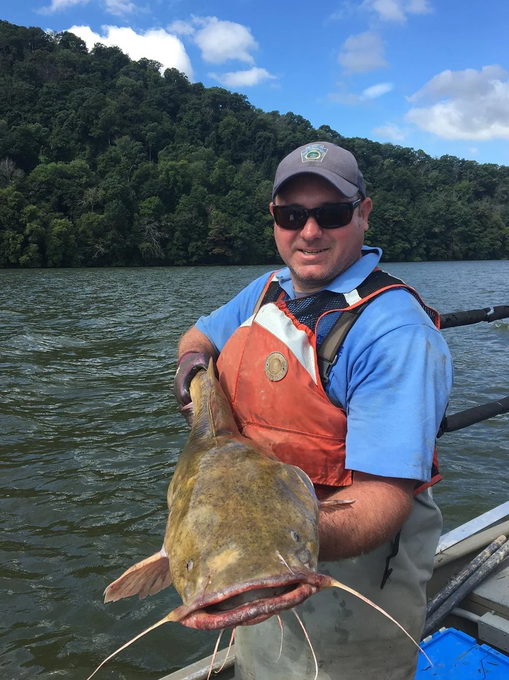 El biólogo Geoffrey Smith sosteniendo un gran ejemplar de bagre de cabeza plana en el río Susquehanna