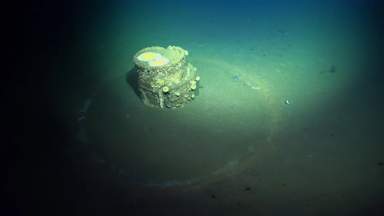 Barril abandonado en el fondo marino frente a la costa de Los Ángeles captado por el ROV SuBastian