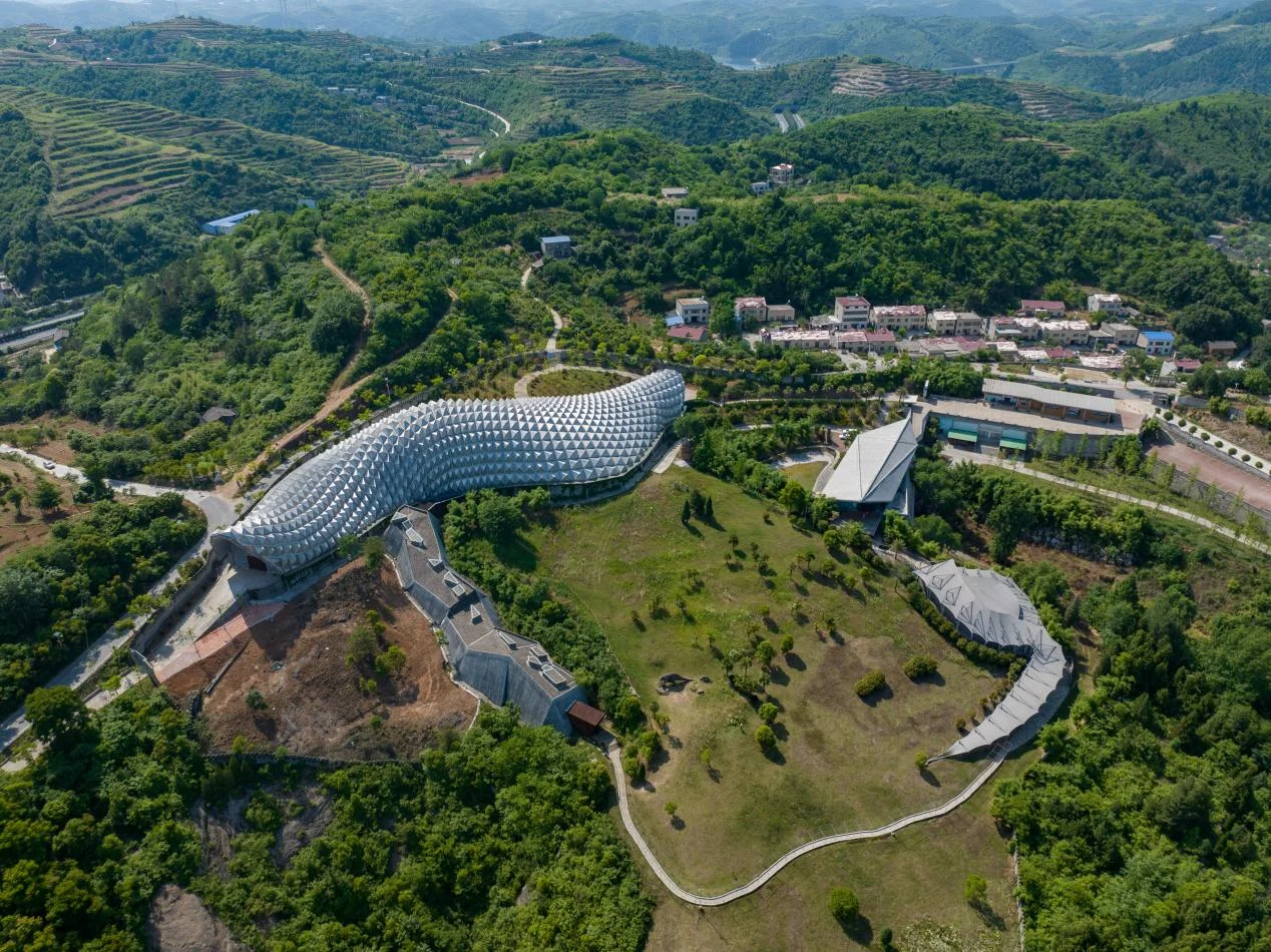 Vista superior del yacimiento fósil de Qinglongshan con restos de huevos de dinosaurio