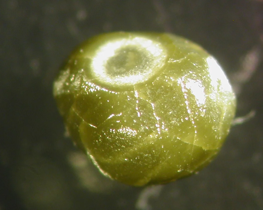 Diamante recubierto de África con un núcleo octaédrico oculto y una capa concéntrica con microinclusiones