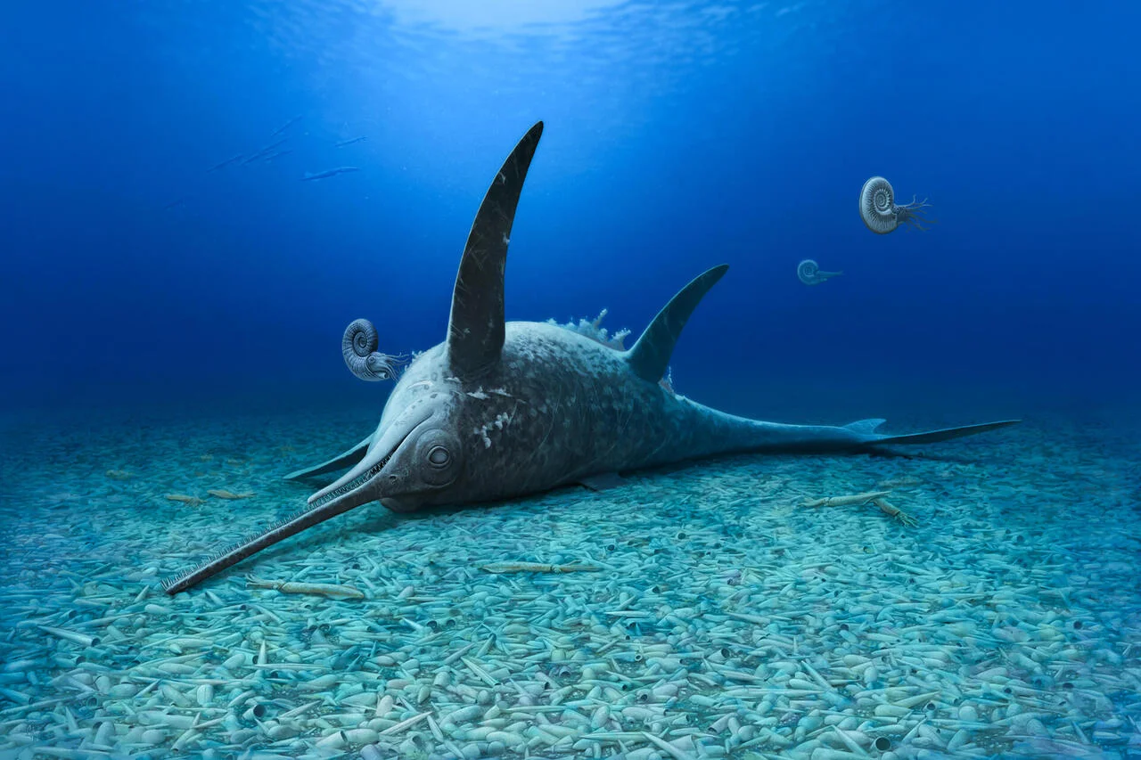 Reconstrucción paleoartística de Eurhinosaurus mistelgauensis en medio de un enjambre de belemnitas marinas