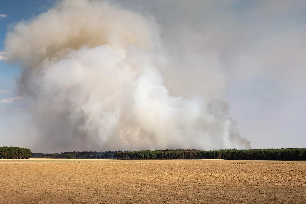 Columna de humo generada por un incendio forestal sobre una zona boscosa