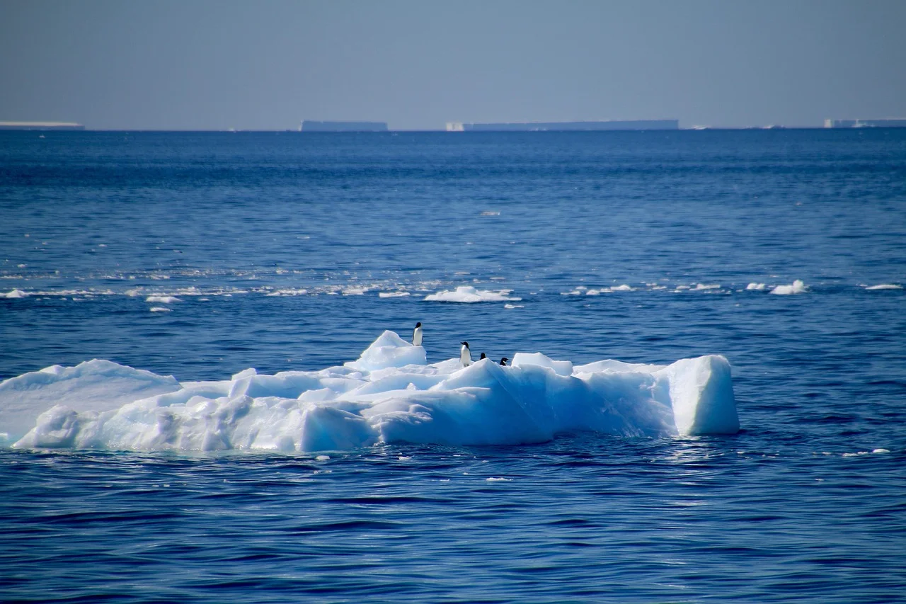 Pingüinos sobre un bloque de hielo flotando en el Océano Austral