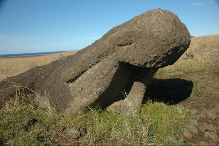 Moai junto a un antiguo camino de Rapa Nui, inclinado y semienterrado tras un intento fallido de erigirlo al excavar bajo la base
