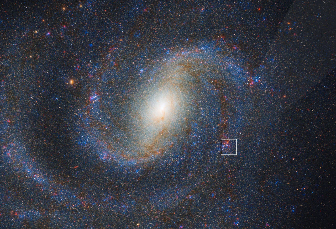 Vista combinada de los telescopios Webb y Hubble de la galaxia espiral NGC 1637