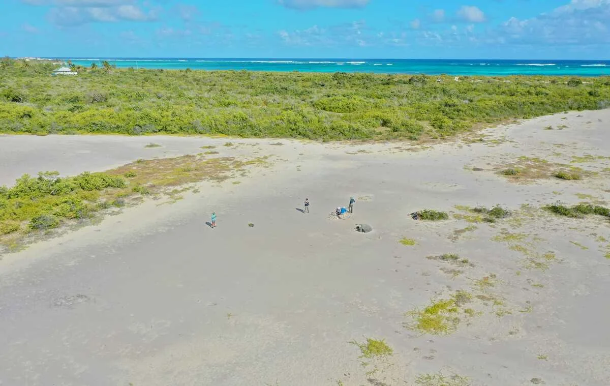 Vista aérea muestra bloques de coral desplazados tierra adentro en Anegada