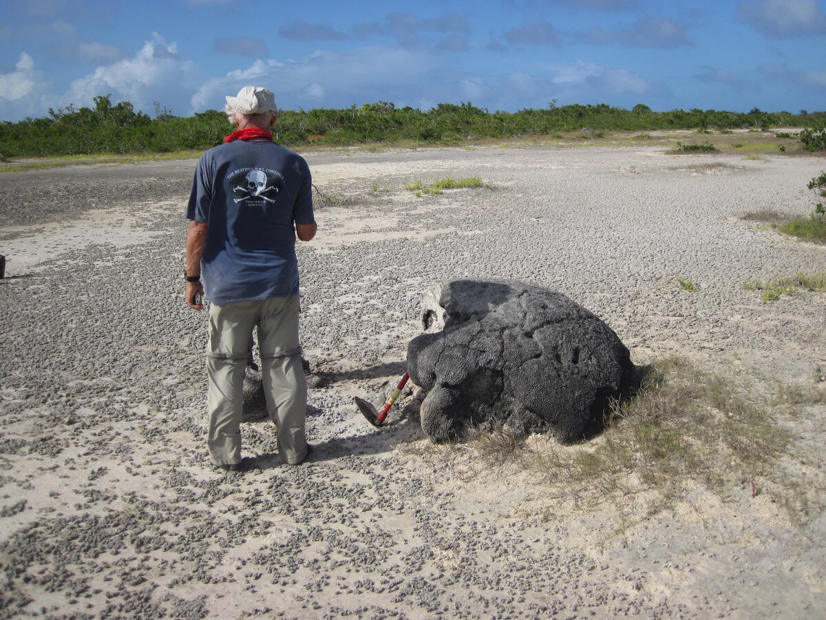 Científico sostiene un bloque de coral estudiado tras el tsunami de Anegada
