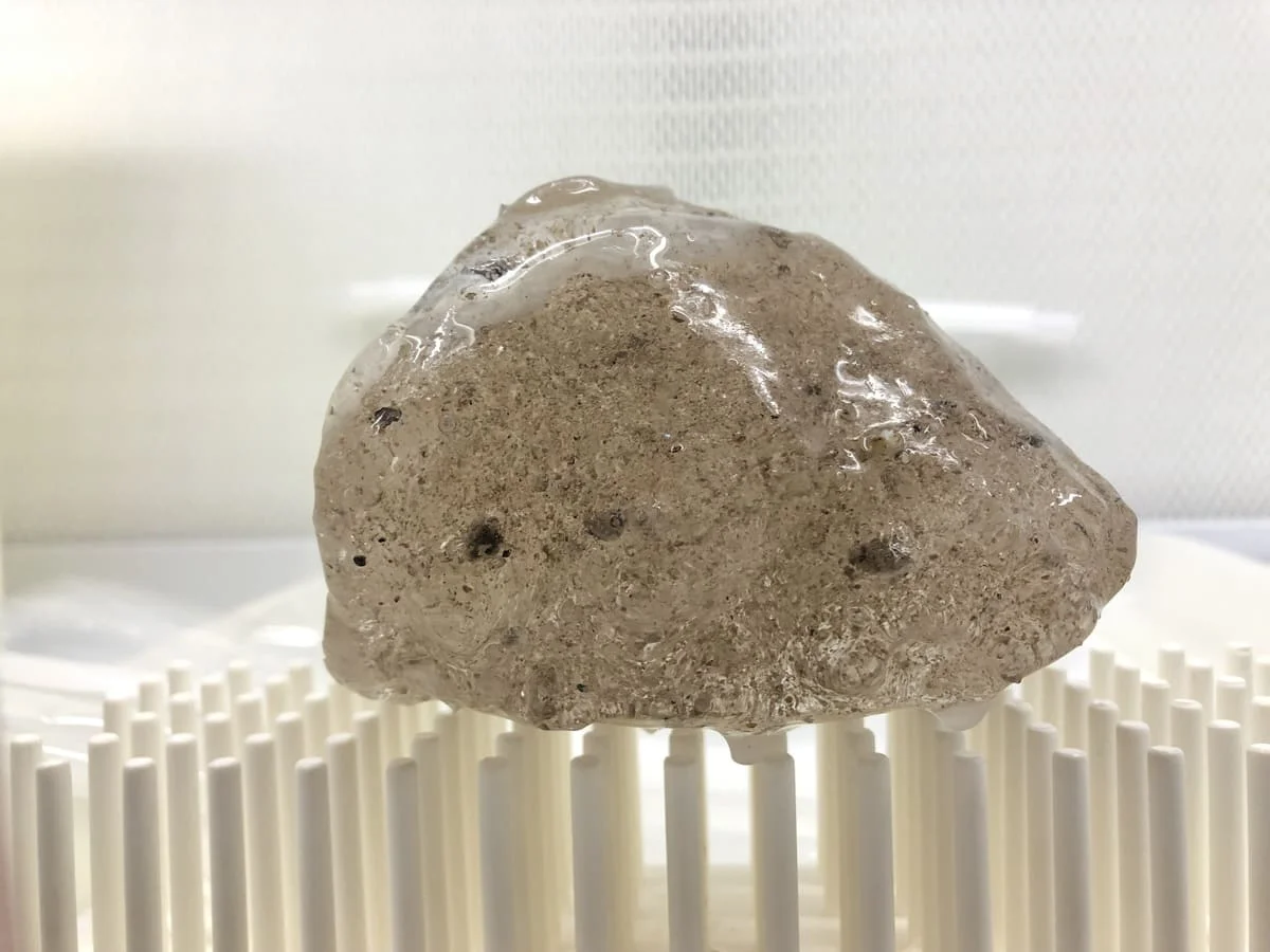 Muestras de hielo derretido recolectadas de glaciares en una sala limpia de laboratorio