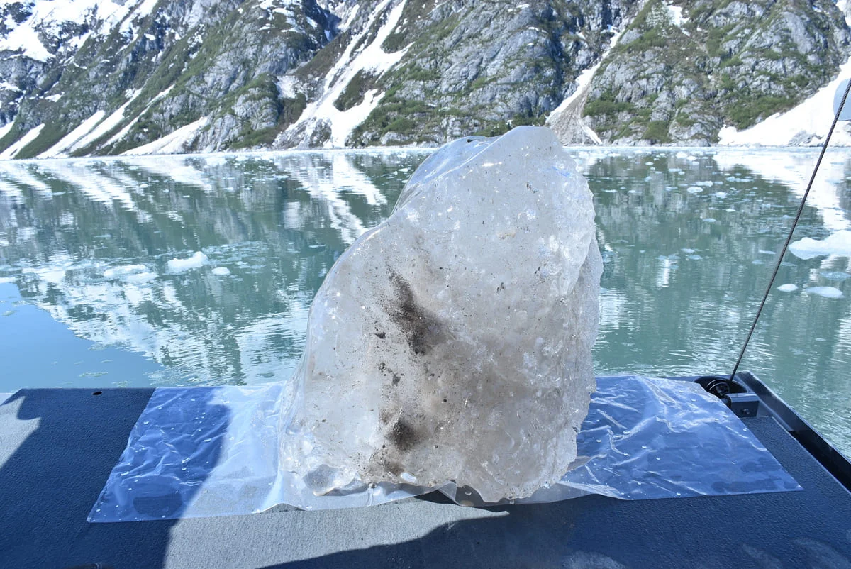 Fragmento de hielo del fiordo del Glaciar Noroeste con sedimentos congelados en su interior