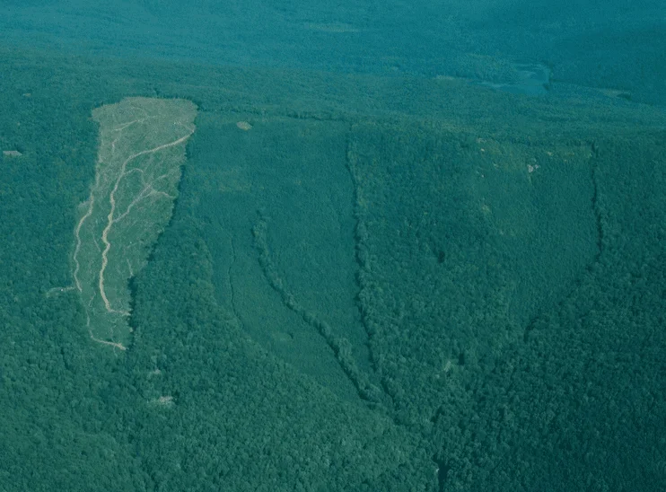 Vista aérea del Bosque Experimental Hubbard Brook con zonas deforestadas