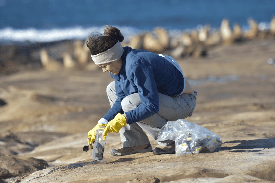 La investigadora Stephanie Nehasil recolecta muestras de excrementos de leones marinos en la isla San Nicolás