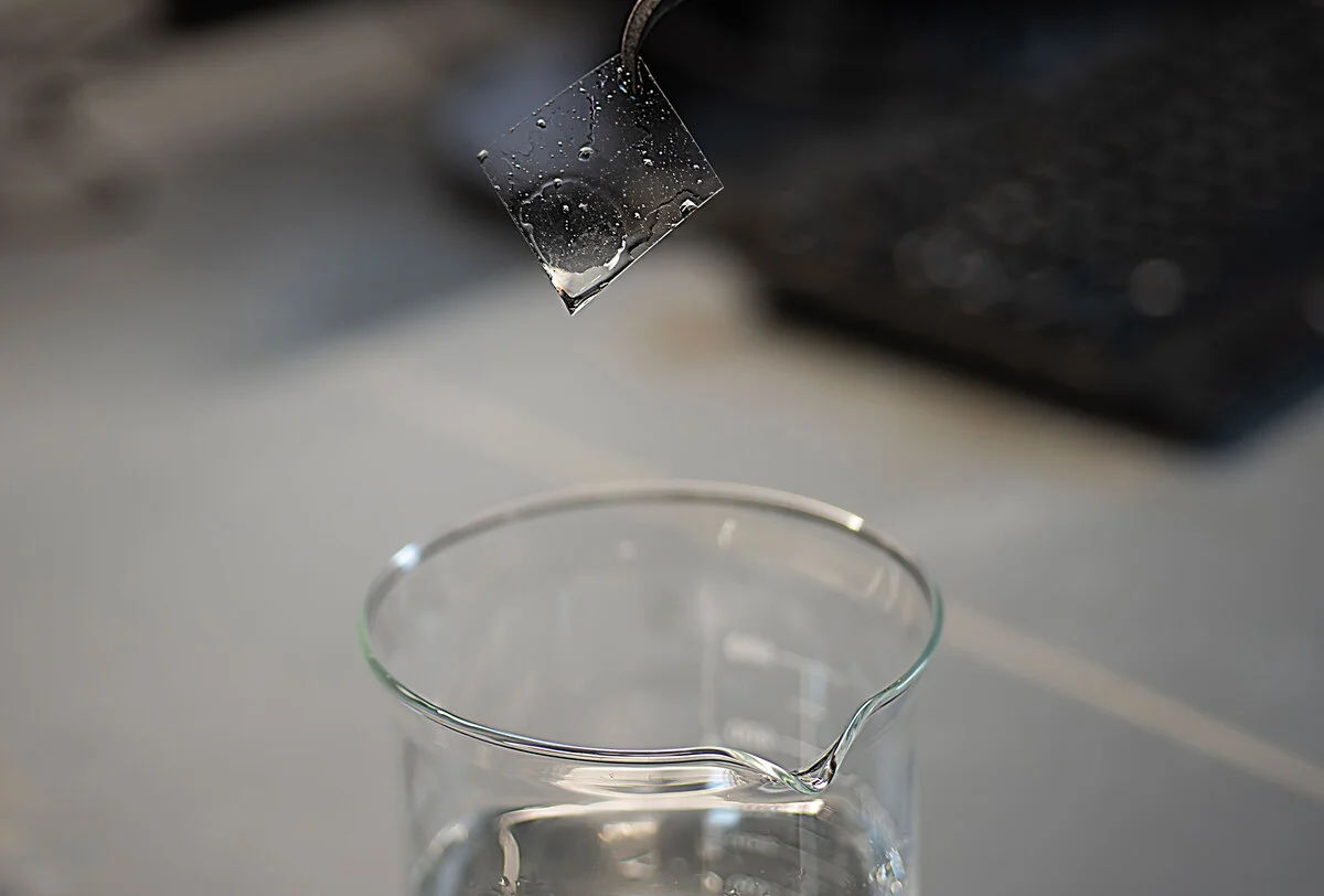 Detalle microscópico de una membrana utilizada en electrólisis, cubierta por depósitos de calcio y magnesio que obstruyen los canales iónicos.